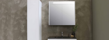 Mirror Cabinets