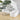 1.7L Nested Fridge Storage Container with Removable Colander