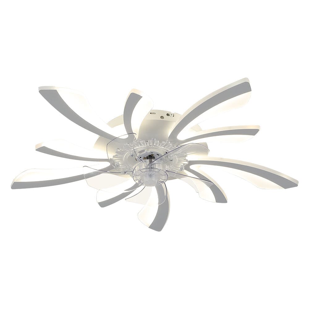 78cm Dia. Acrylic Creative Ceiling Fan with LED Lights Ceiling Fans Living and Home