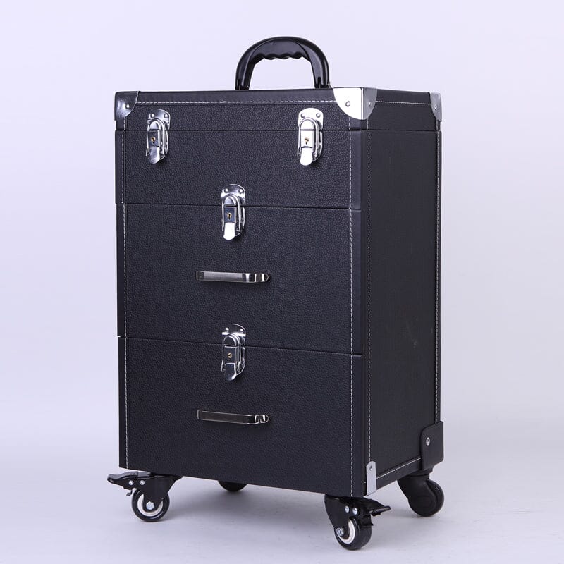 2 Drawers Portable Lockable Cosmetic Makeup Travel Case Black/Purple Makeup Organizers Living and Home