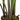 Faux banana tree stems emerging from mossy potting mix in black planter