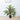 90cm H Artificial Phoenix Fern Tree for Decoration