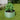 Round light green raised garden bed with soil and large leafy plant