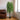 Artificial willow tree with cascading green leaves and brown trunk in a black pot