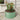 Round light green raised garden bed with soil and red tomato plants