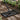Garden lawn levelling rake with serrated metal head and long handle