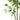 Artificial green faux tree branches with small leaf clusters along textured stems
