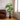 Artificial tropical tree with large green leaves and segmented faux bamboo trunk, black pot