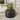 Round raised garden bed planter in dark steel with soil and tomato plant cluster