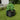 Round raised garden bed planter in dark steel with soil and leafy green plant