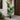 Artificial banana tree in black pot on outdoor steps with broad faux green leaves