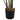 Black pot with faux banana tree stems and a small moss bed at the base
