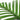 Close-up of artificial palm leaves with green segmented fronds