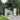 239.5cm W Outdoor Galvanized Steel Storage Shed with Double Doors