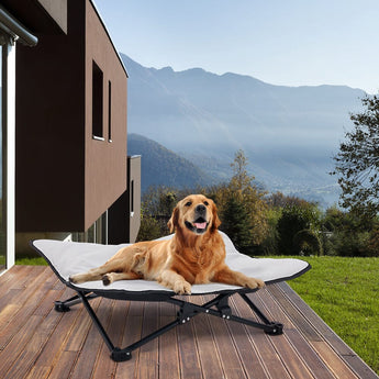 Portable Raised Pet Cot Living and Home 