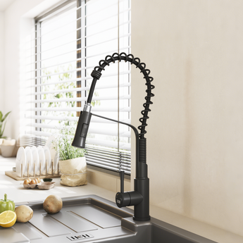 Stainless Steel Pull-Down Kitchen Faucet, Black