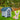 Blue plastic dog house with arched door and open interior for outdoor/indoor use