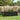 90cm Depth outdoor raised garden bed with black metal slats and colorful blooms