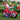 6FT/1.8M Santa on Motorcycle Christmas Inflatable Model Decoration with LED Lights