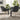 Dark grey velvet dining chairs with wingback backs and gold-tone tapered legs, set of 2