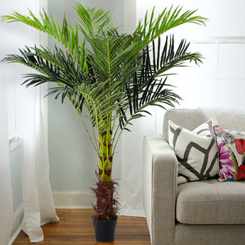 180cm H Artificial Plants Green Palm Tree in Pot Tropical Areca