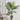 Artificial Potted Palm Tree for Home Decoration Artificial Plants Living and Home 