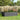 2-pack galvanized steel raised garden bed, gray slatted sides, planted flowers