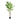 Artificial green faux tree with branching stems and small leaf clusters, in a black pot