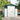 White metal apex roof storage shed with double doors and window panels on both sides