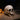 Halloween Realistic Plastic Skull Tabletop Decoration