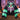 10ft Halloween Angry Spider Archway Inflatable with Build-In LED
