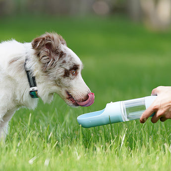 4 in 1 Travel Dog Water Bottle