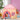 Dreamy Pink Castle Play Tent Living and Home 