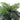 Artificial palm tree canopy with layered green fronds and brown trunk