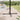 Dark metal parasol base cross stand with central pole and four support arms
