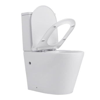 80cm H 2-Piece Elongated Toilet with Dual Flush Toilet Living and Home 