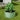 Round light green raised garden bed with soil and leafy green plant