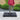 Black cantilever umbrella stand set with central pole bracket and four base pads