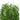 Artificial willow tree foliage with dense hanging green faux leaves