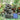 Winding Rockery Water Feature Self-Containing Feature Outdoor Fountain Fountains & Waterfalls   2.0New