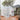 White Framed Garden Hobby Greenhouse with Vent Garden greenhouse Garden Sanctuary 10' x 6' ft With base frame 